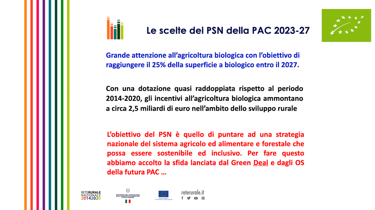 Le scelte del Psn della Pac 2023-2027